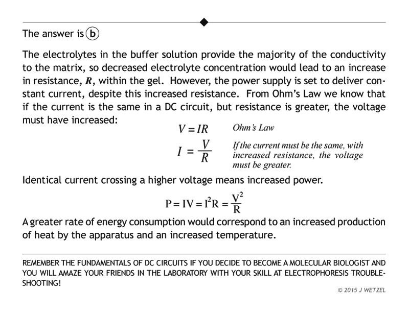 Electrophoresis gel problem answer and explanation
