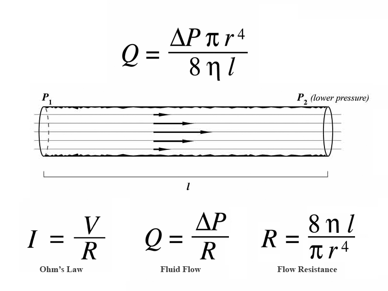 Analogy between Ohm's law and Poiseuille's Equation.