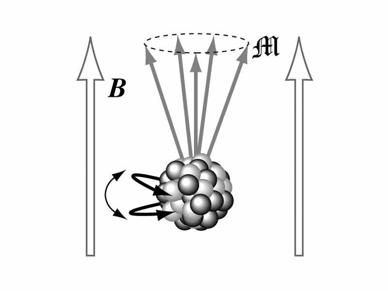 Precessional frequency of nuclear magnetic moment