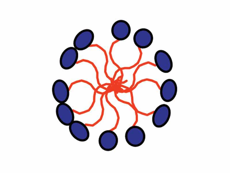 A micelle - the lipophilic ends of the surfactant molecules dissolve in the oil, while the hydrophilic charged ends remain outside, shielding the rest of the hydrophobic micelle