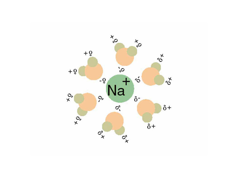 Solvation of Na+ with water
