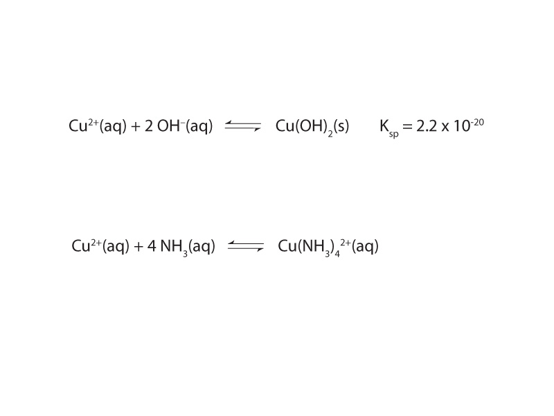 Coupled equilibria between weak electrolyte solution process and complex ion formation in aqueous solution with excess ammonia.