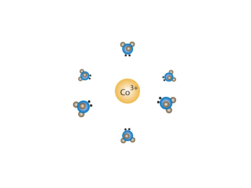 Cobalt ions in solution.