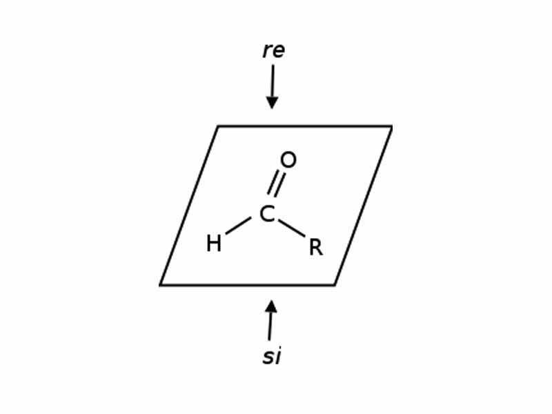Illustration of an sp2-hybridized prochiral carbon atom, showing the re and si faces.