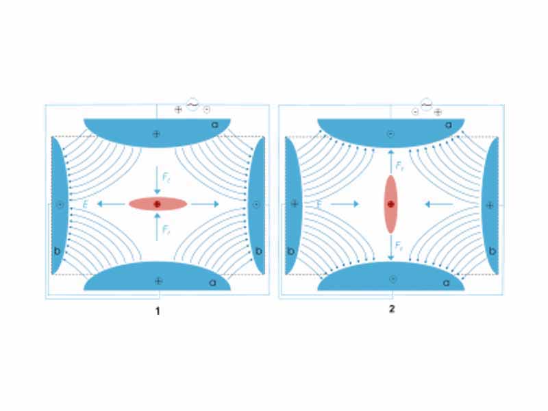 Scheme of a Quadrupole ion trap of classical setup with a particle of positive charge (red), surrounded by a cloud of similarly charged particles (red). The electric field E (blue) is generated by a quadrupole of endcaps (a, positive) and a ring electrode (b). Picture 1 and 2 show two states during an AC cycle.