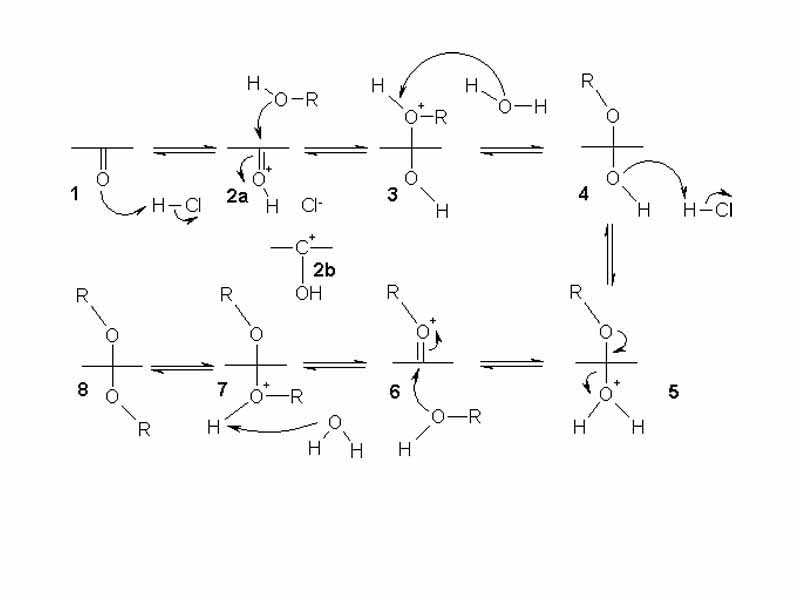 Acetalisation mechanism