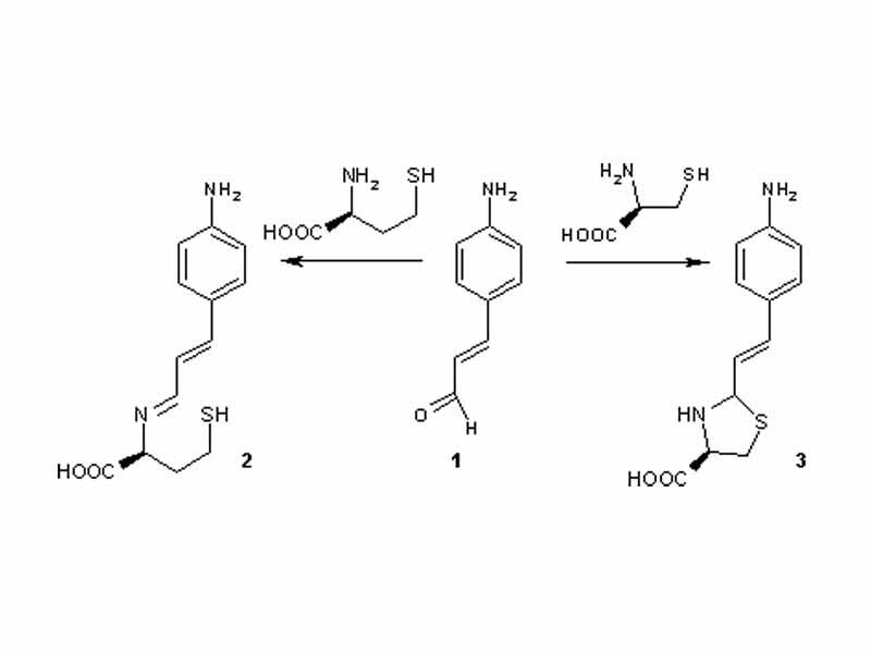 Example of alkylimino-de-oxo-bisubstitution.  In this application a particular electron-rich cinnamaldehyde is able to differentiate between cysteine and homocysteine. With cysteine, a buffered water solution of the aldehyde changes from yellow to colorless due to a secondary ring closing reaction of the imine. Homocysteine is unable to give ring closure and the color does not change.