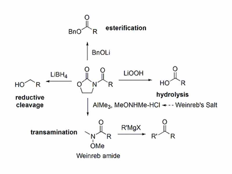 Evans' oxazolidinone chemistry - methods for cleaving the auxiliary
