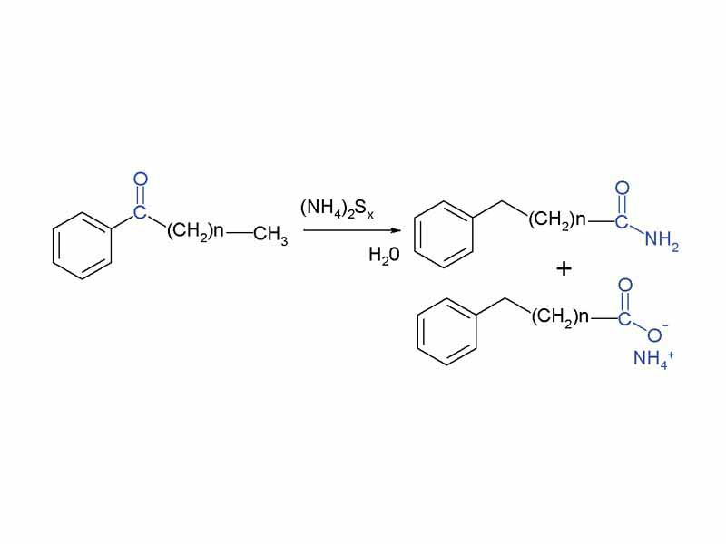 Willgerodt Reaction