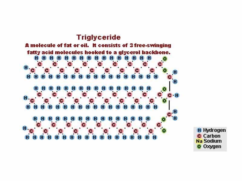 Simplified Diagram Of The Saponification Process