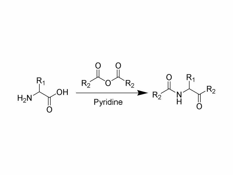 The reaction scheme of the Dakin-West reaction.