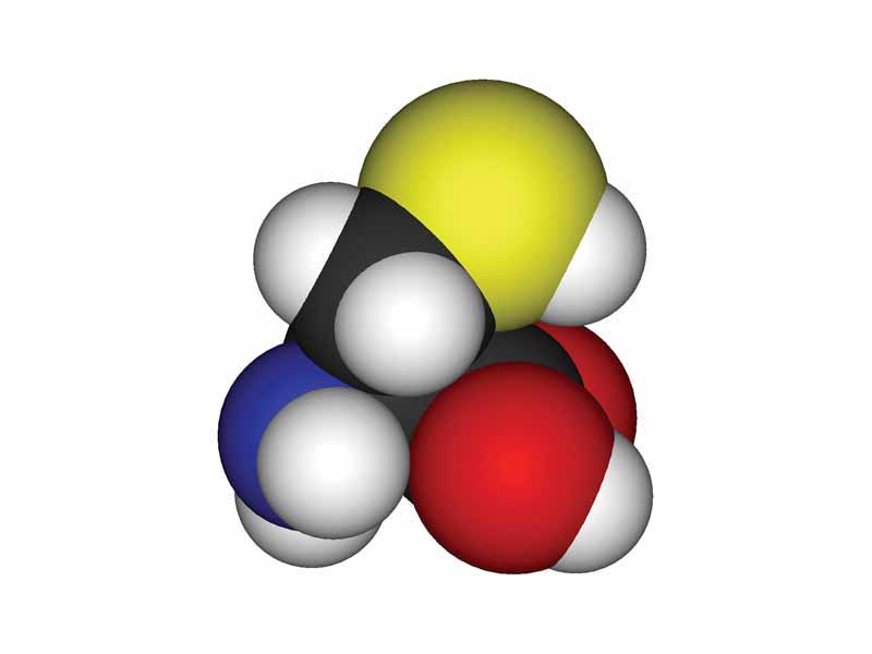 L-cysteine - space filling model