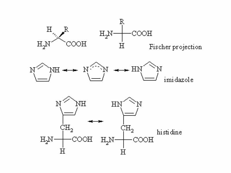 Resonance in histidine