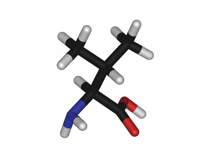 L-valine - stick model