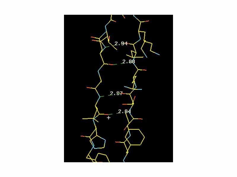The hydrogen bond network in a 2-stranded, antiparallel ?-sheet. The side chains are sticking out above or below the plane of the picture. It less clear cut than in the case of the helix, in which direction to initially trace a beta sheet strand. The beta sheet can be infinitely extended due to the repeatable H-bonding pattern to either side of a strand.