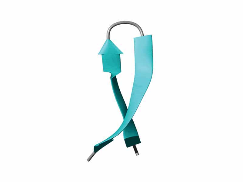 Representation of the beta hairpin of the syrian hamster prion protein