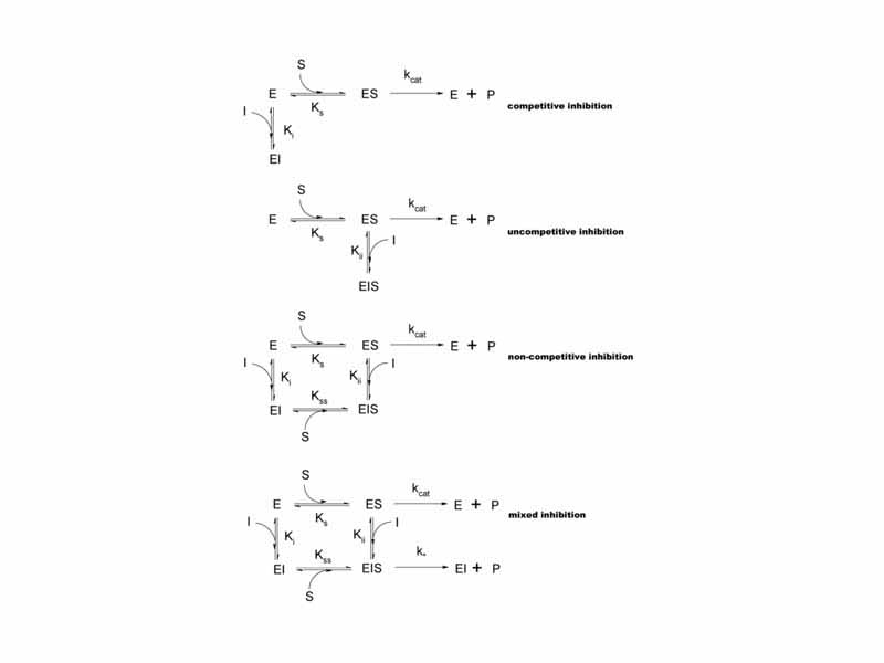 Types of inhibition. This classification was introduced by W.W. Cleland