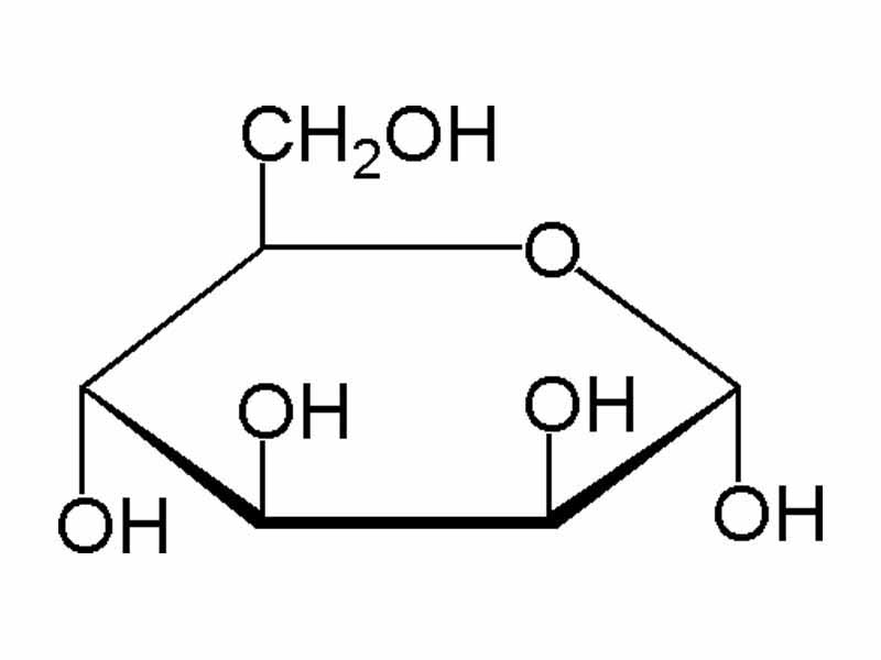 Hayworth projection of mannose in its ?-D-mannopyranose form.