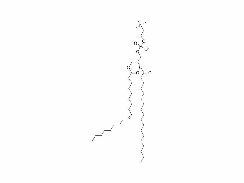 Phosphatidyl choline structure
