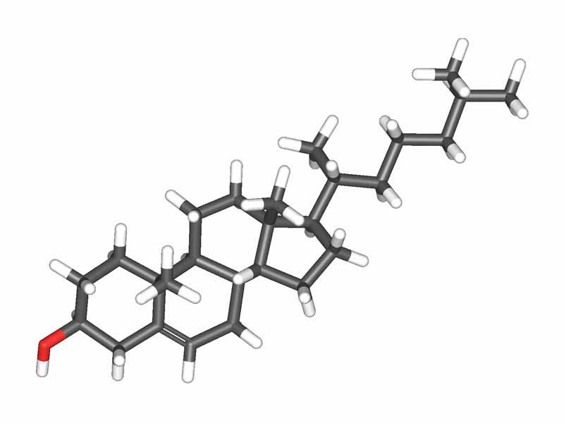 Cholesterol ball and stick