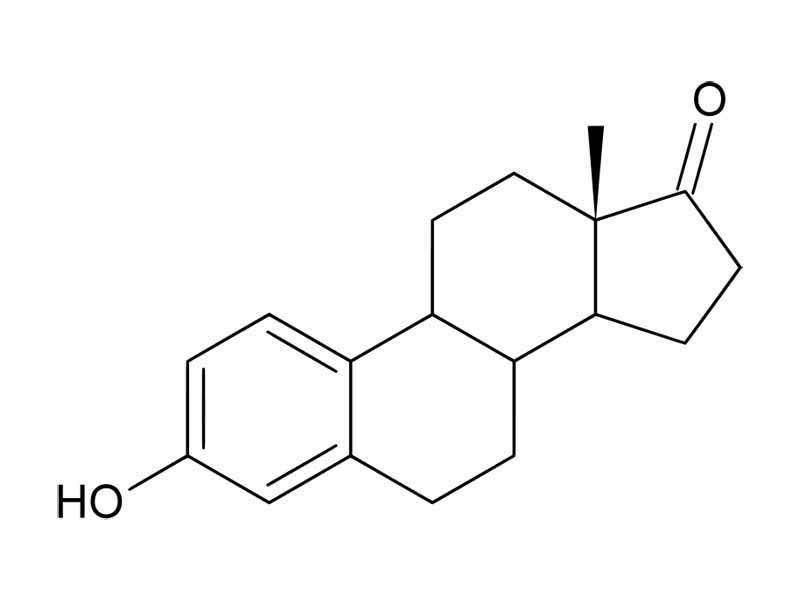 Estrone structure