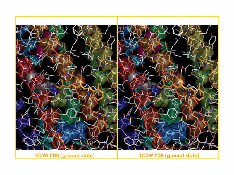 Conformational change with Bacteriorhodopsin, a light absorption-driven transporters