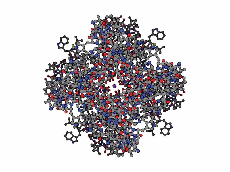 Top view of purple potassium ions moving through potassium channel (PDB code = 1BL8)