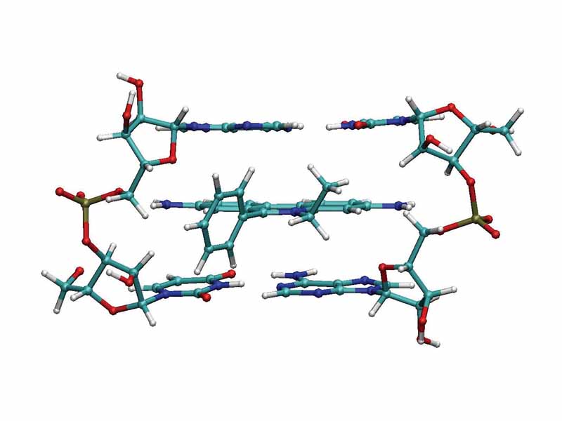Ethidium intercalated between two adenine-uracyl base pairs.