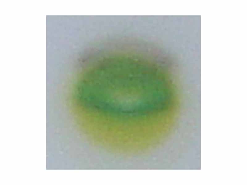 TLC of chlorophyl - step 4