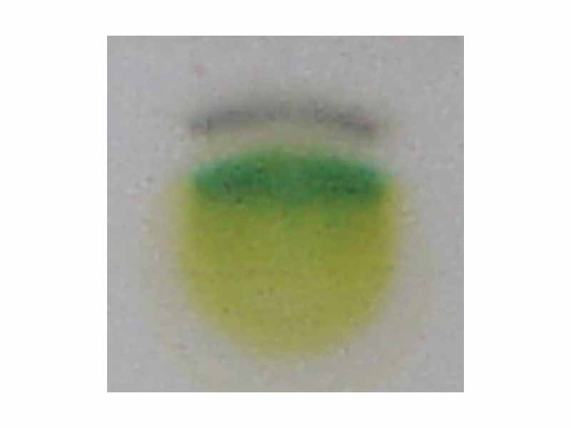 TLC of chlorophyl - step 5