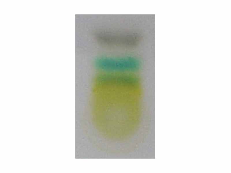 TLC of chlorophyl - step 6