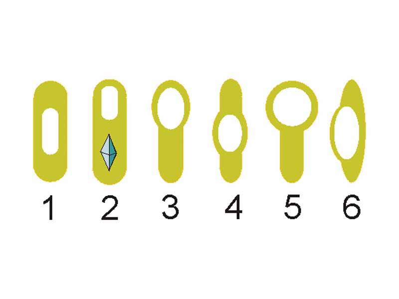 Variations in endospore morphology. (1, 4) Central endospore, (2, 3, 5) terminal endospore, (6) lateral endospore