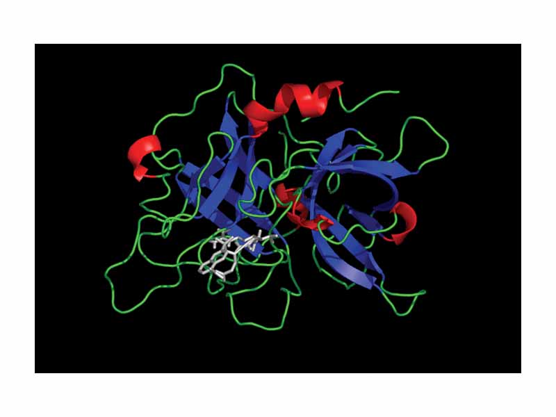 Crystal structure of the protease domain of tPA in complex with an inhibitor