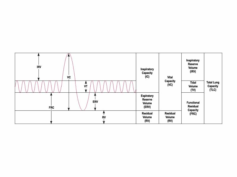 This is a prototypical output of a 'spirometer'. The y-axis signifies the volume, with the bottom left corner equaling 'zero volume'. The sinusoid comes from repeated resting state breathing (small amplitude sinusoid) 'Tidal Volume', one inspiratory segment to maximum volume (large positive spike) 'Total Lung Volume', a forced expiratory segment to the lowest physiologically possible lung volume (large negative spike), 'Residual Volume', and then concludes with another segment of resting state breathing at tidal volume.