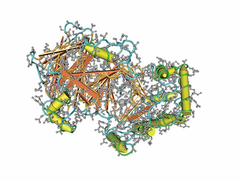 The structure of human RANTES