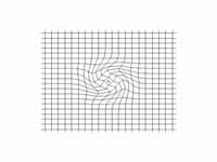 Shear wave (transverse wave: seismic ...