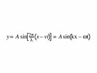 The wave equation