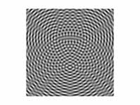 Interference pattern of spherical wav...