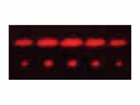 2-slit and 5-slit diffraction of red ...