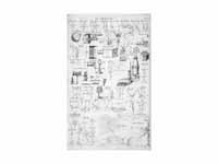 Table of Opticks, 1728