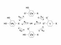 Denoting L-Dopa as LH2, the following...
