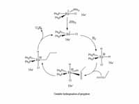 Catalytic hydrogenation using Wilkins...