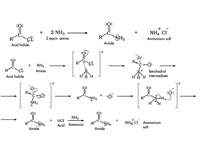 Reaction of amine with acid halides.