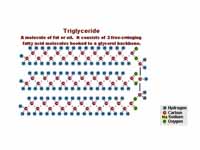 Simplified Diagram Of The Saponificat...