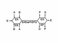 Random-order ternary-complex mechanis...