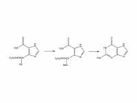 Laboratory synthesis of guanine