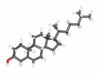 Cholesterol ball and stick