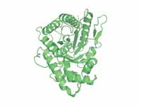 Fructose 1,6-bisphosphate aldolase