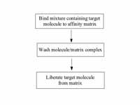 Affinity chromatography