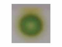 TLC of chlorophyl - step 1